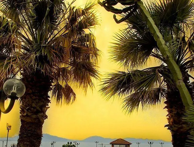 Perla Del Golfo 3* 泰拉西尼